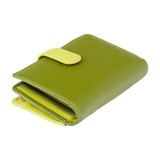 Visconti RAINBOW RB51 FIJI dámská kožená peněženka zelená