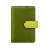 Visconti RAINBOW RB51 FIJI dámská kožená peněženka zelená
